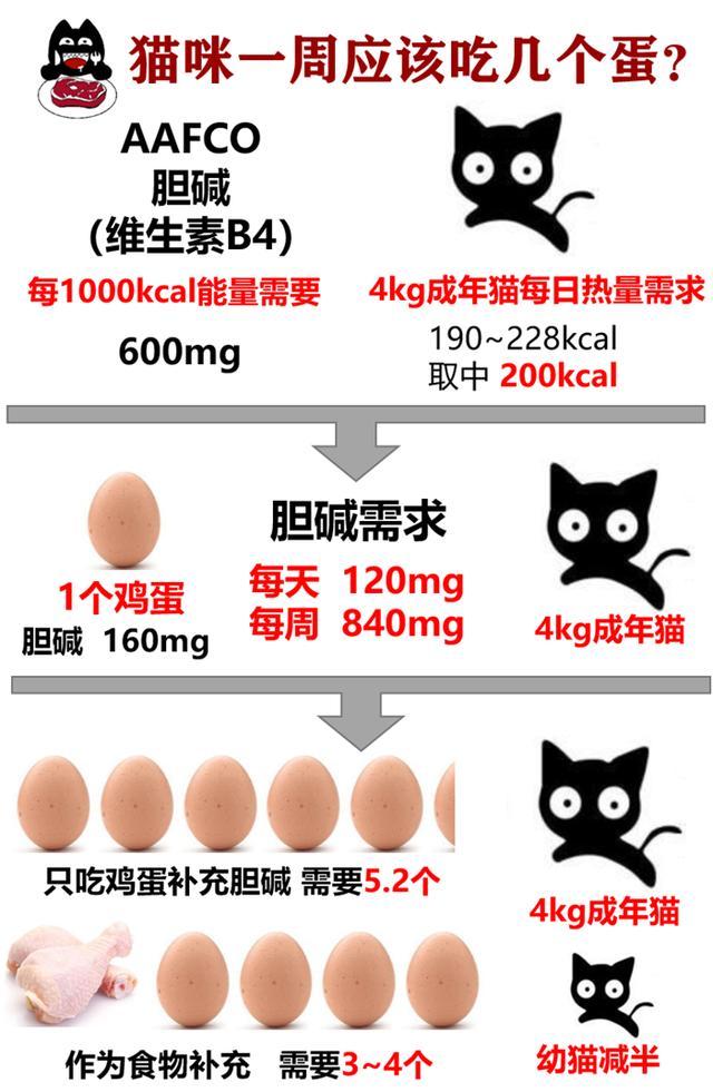 猫吃蛋黄还是蛋白好(猫一般一次吃多少个蛋黄合适)