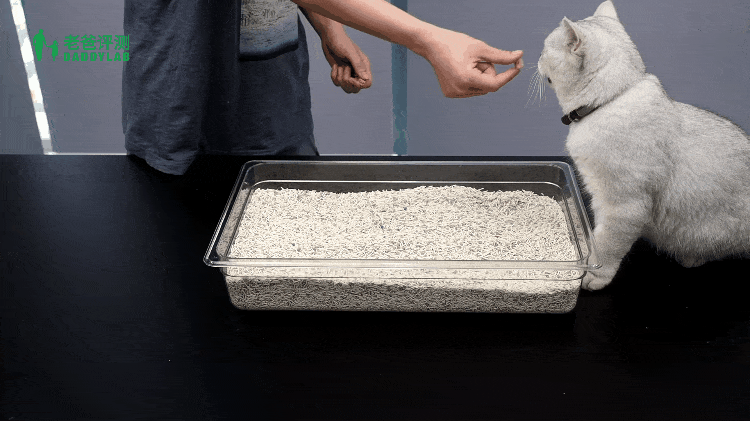 猫砂是什么材料做的可以做肥料吗(性价比最好的猫砂推荐)