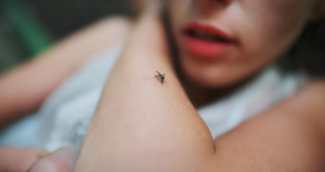 怎么抓蚊子一般躲在卧室哪里,打蚊子的技巧和方法