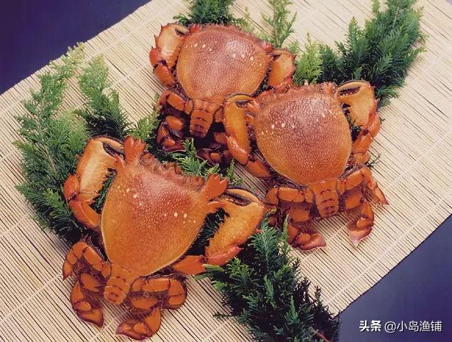 老虎蟹的正确做法,好吃吗,老虎蟹是河蟹还是海蟹?