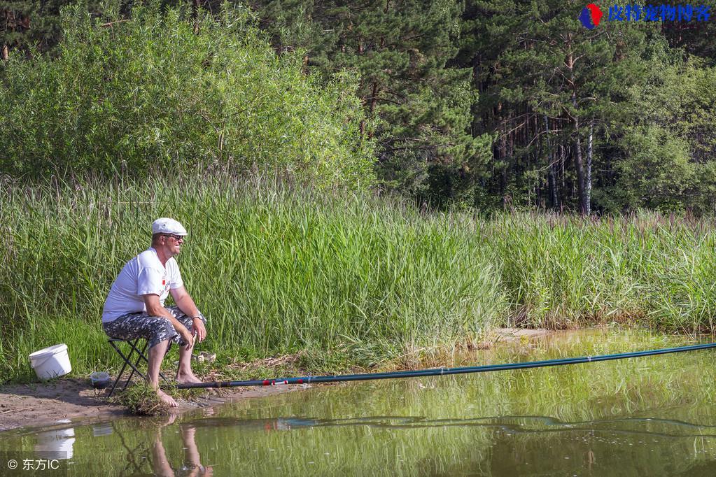 儿童钓鱼的技巧和方法有哪些，怎样可以更快钓到鱼