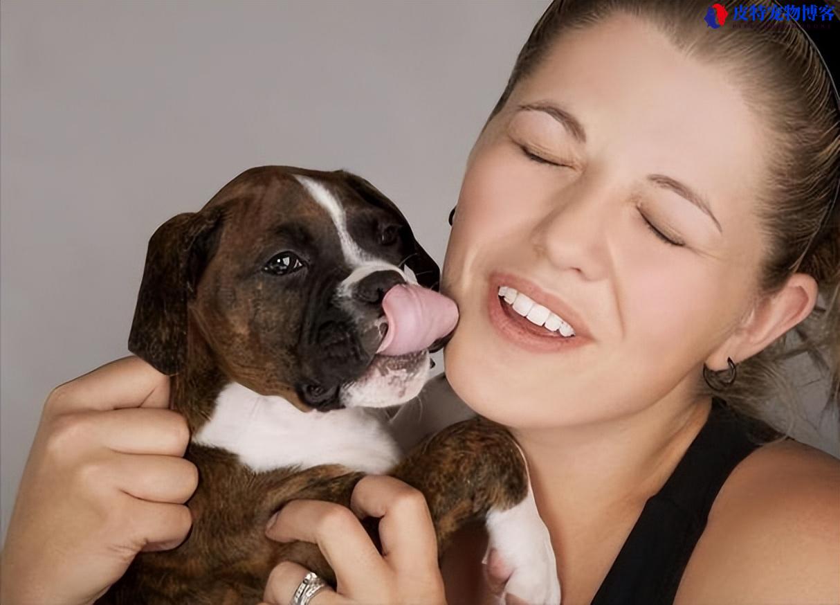 狗喜欢舔人代表什么心理问题（狗行为解读与犬主关系）