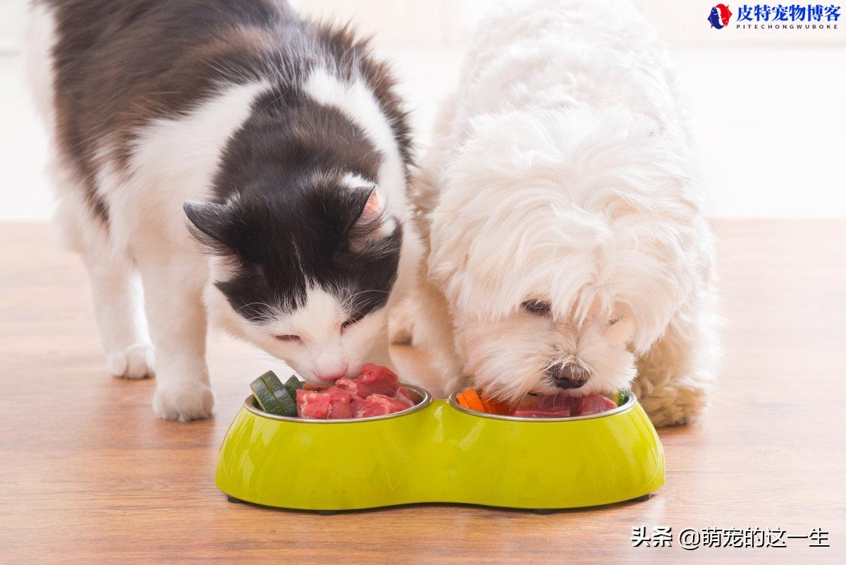 狗狗为什么不能吃葡萄原因，小狗不能吃哪些东西为什么