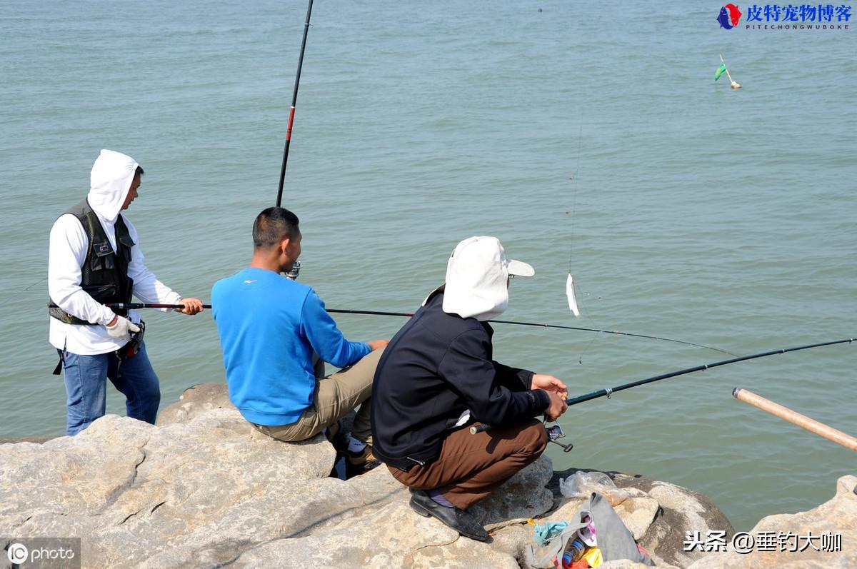 夏天钓鱼的技巧和方法口诀是什么，新手钓鱼入门基本知识