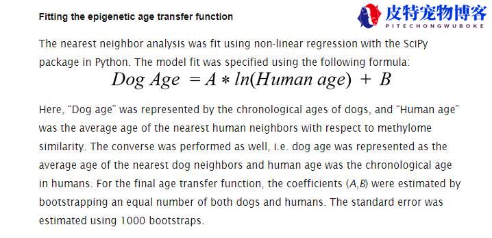 狗狗3岁等于人几岁（揭示狗狗年龄与人类年龄之间的对应关系）