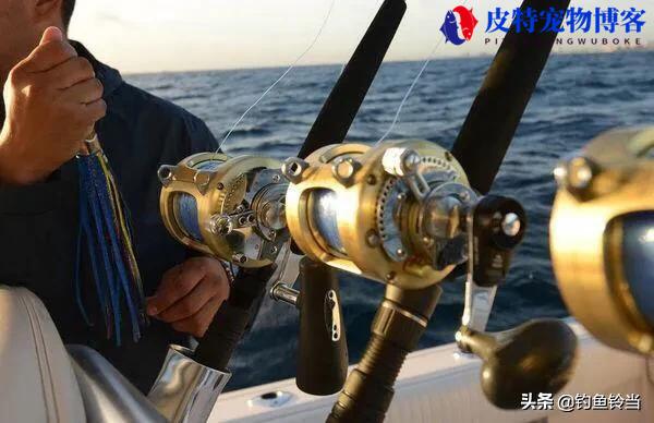 海钓鱼竿选择多长合适，选择硬还是软好，怎么挑选海竿和渔轮的好坏