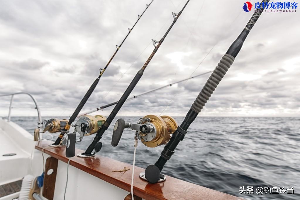 海钓鱼竿选择多长合适，选择硬还是软好，怎么挑选海竿和渔轮的好坏