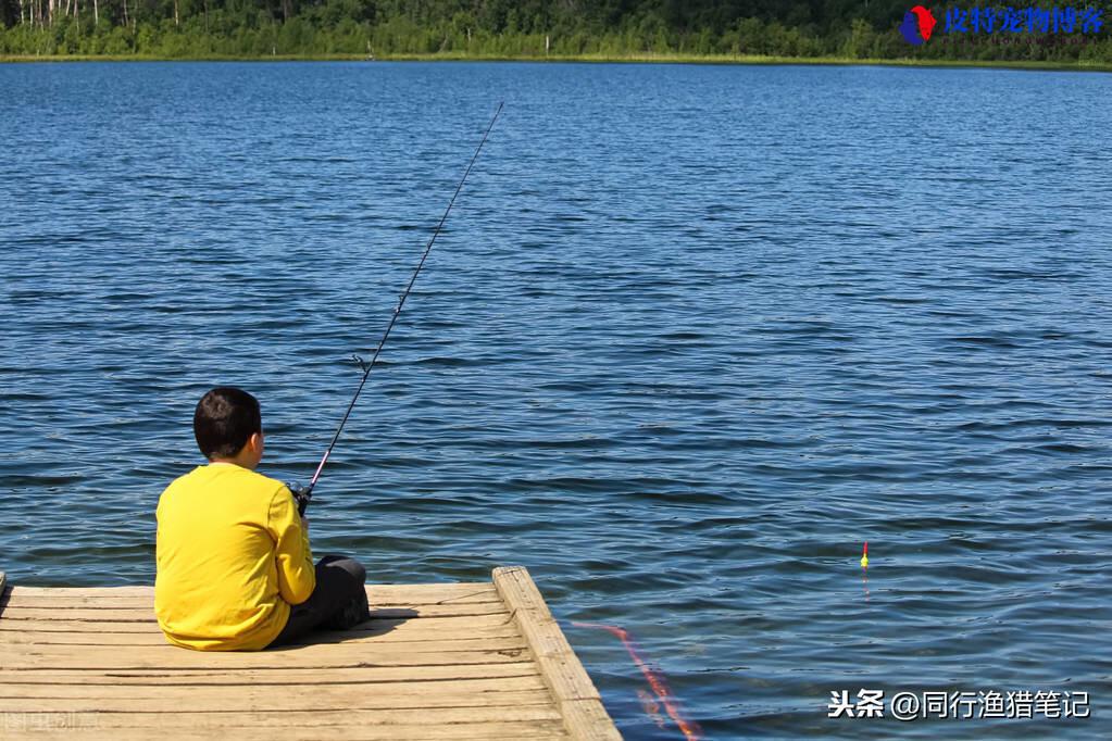 夏季东南风好钓鱼吗为什么，东南风对钓鱼有没有影响