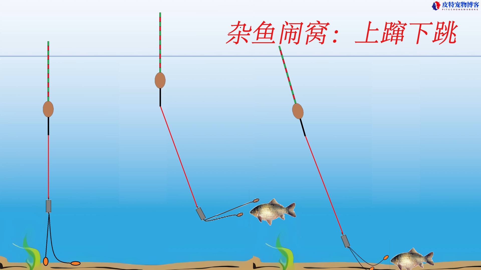 钓鱼小杂鱼闹窝怎么钓鲫鱼用七星漂，防止小杂鱼闹窝的方法