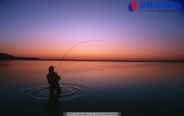 钓杆和钓竿的区别是什么，哪个是对的，鱼竿分类及用途介绍图片
