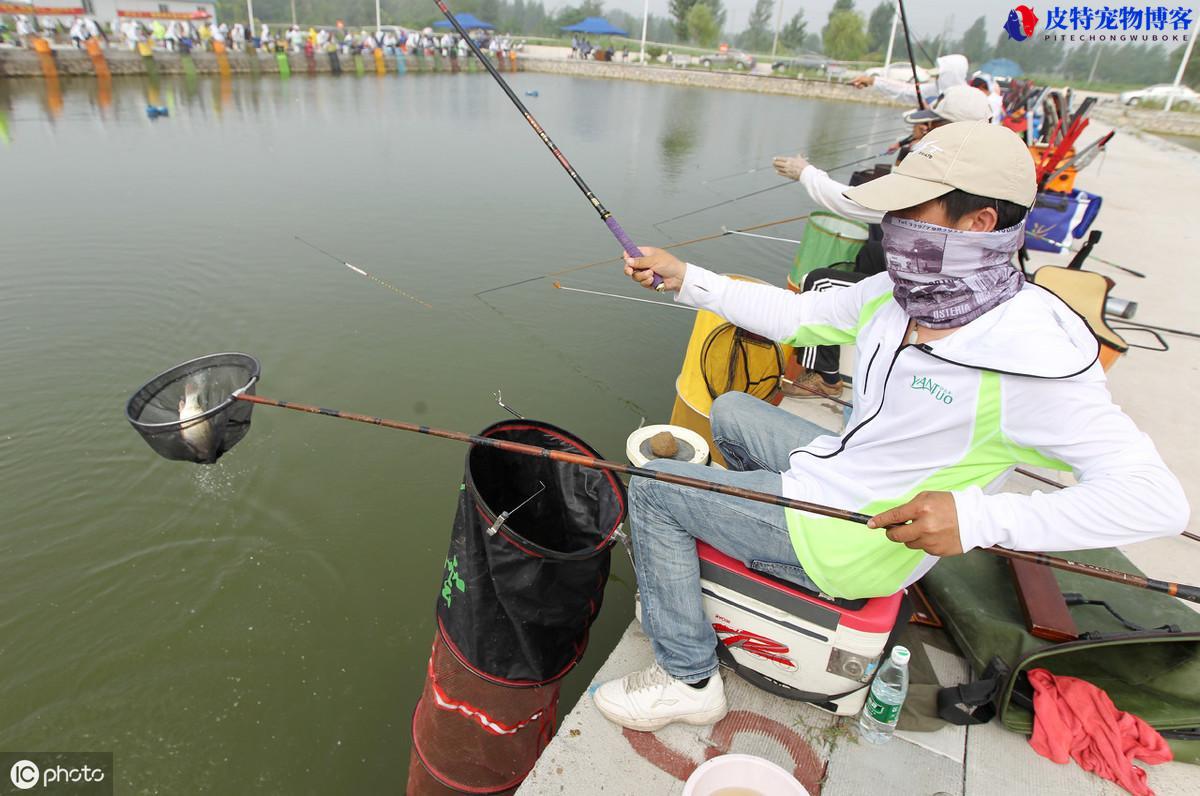 钓鱼的正确方法与技巧和口诀，想学钓鱼的知识有哪些方法