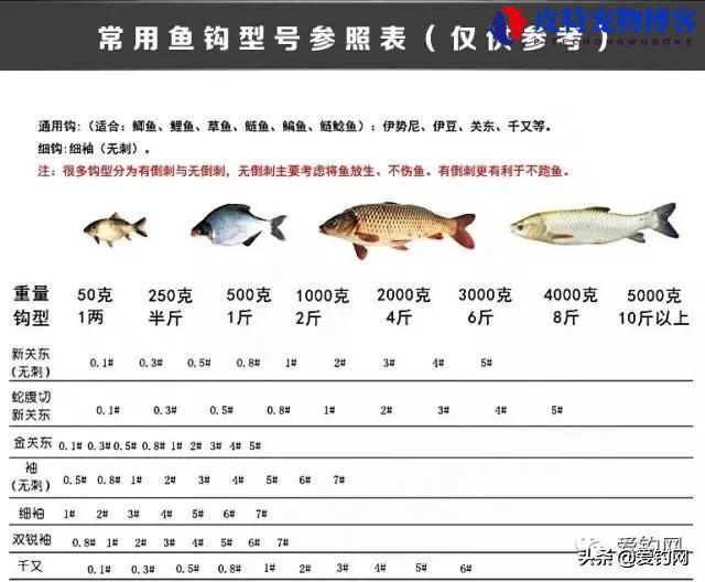 几号钩钓几斤鱼对照表（分享常用钩号和钓鱼鱼类重量的对照表）