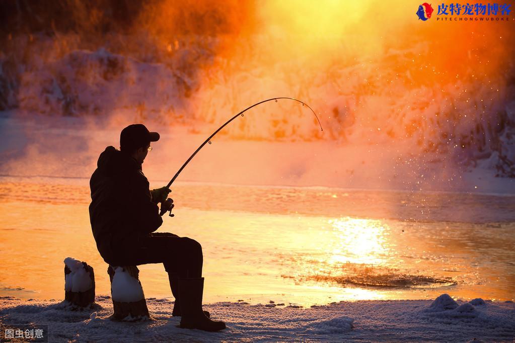 冬天钓鱼用多长的竿最好（寒冷季节钓鱼须知），冬季钓鱼技巧全知识