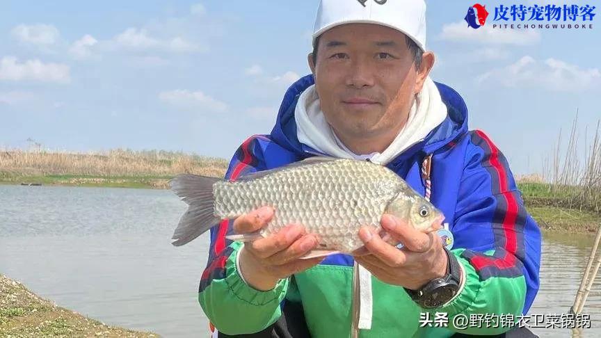 中国钓鱼大师排名特级大师，中国钓鱼特级大师有几位