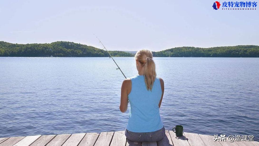 夏天钓鱼技巧大全图解，用什么味型饵料，大热天钓鱼的技巧