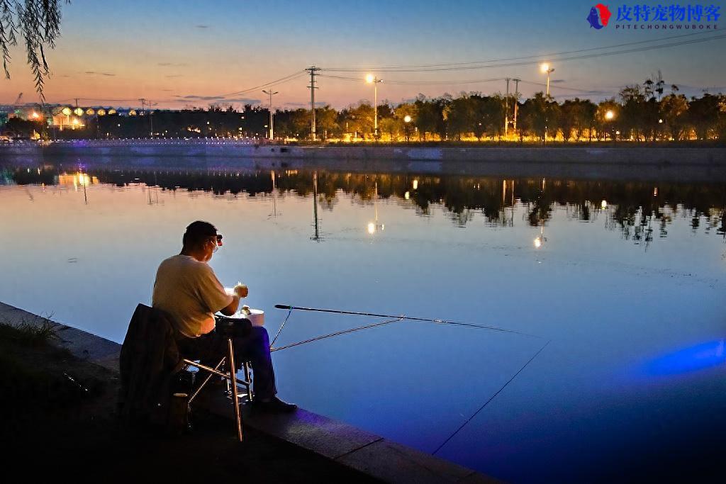 初夏钓鱼技巧选钓位和时间，选择什么位置最好，夏天什么时间段钓鱼最好
