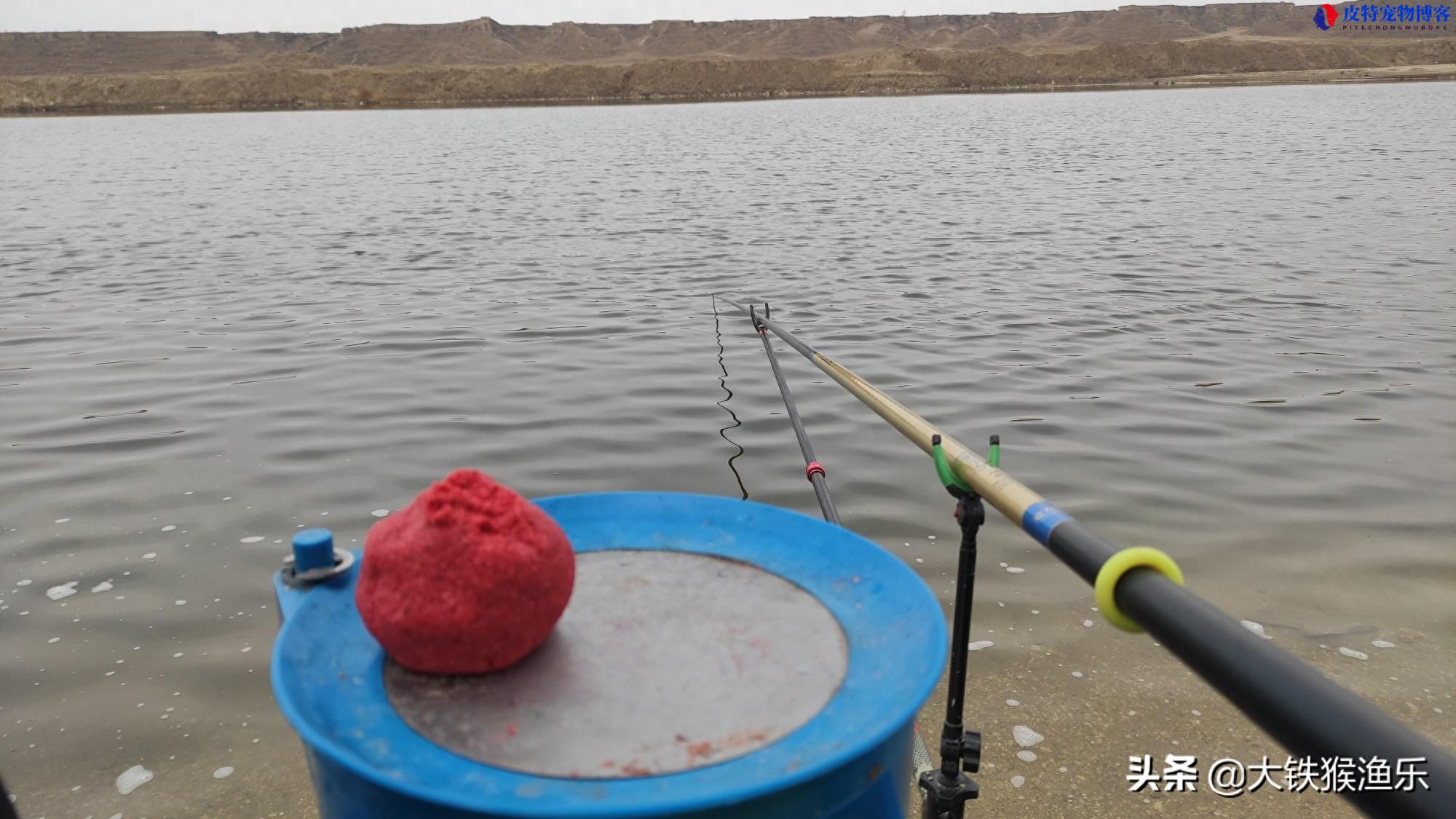 冬季钓鱼技巧大全图解教程，冬季钓鱼要牢记这四点
