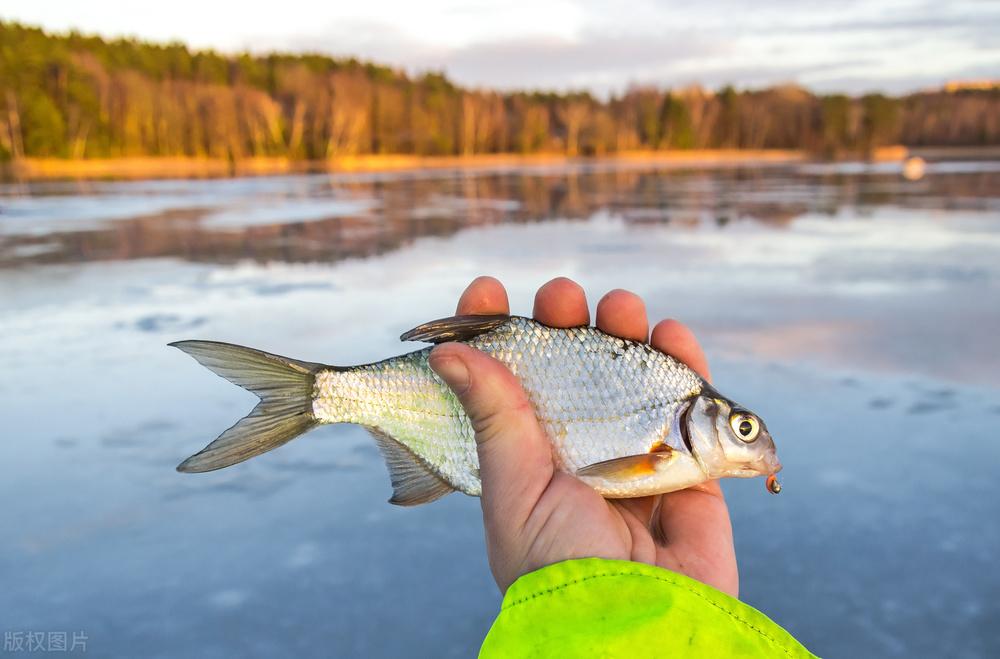 冬季破冰钓鲫鱼技巧和方法图解，冰钓找鱼的基本技巧有哪些