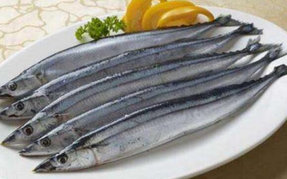 刀鱼和带鱼有何不同？——对比两种常见海鲜的特性