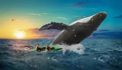 鲸鱼的重量是多少？鲸鱼的重量因种类而异，最小的只有2吨，最大的则可达173吨。）