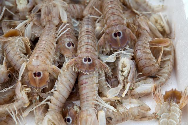 皮皮虾的生活环境是淡水还是海水？（皮皮虾生活在海洋中，是一种咸水生物。）