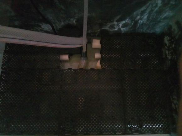 巴西龟的适宜饲养缸和装备（缸体大小、加热设备、光照要求）