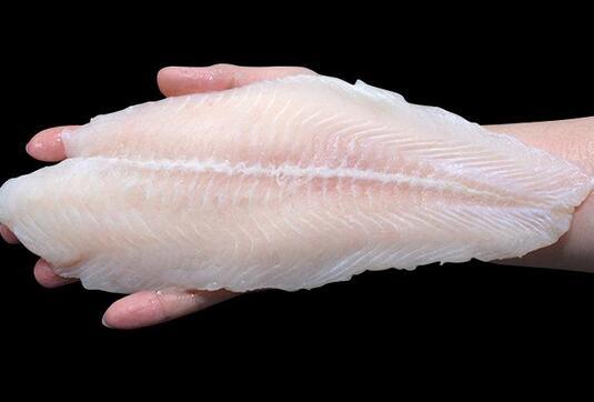 巴沙鱼是淡水鱼还是海水鱼（对巴沙鱼的生活环境和分布范围进行解释）
