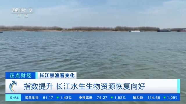 长江鱼类多样性和保护现状（介绍长江流域丰富多样的鱼类资源和保护措施）
