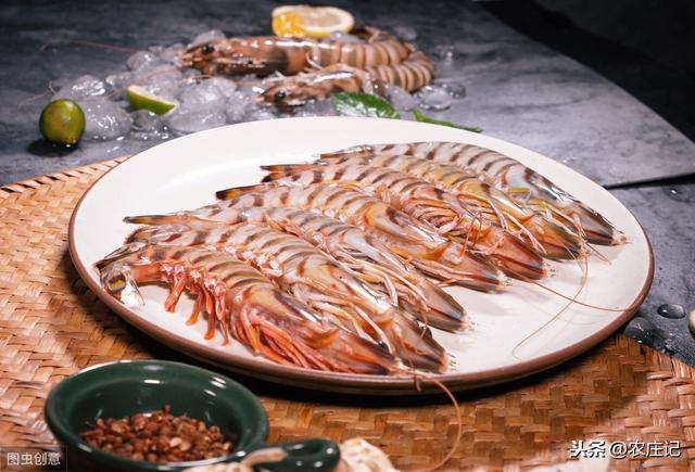 竹节虾的特点和养殖要点（了解竹节虾的特征和养殖技巧）