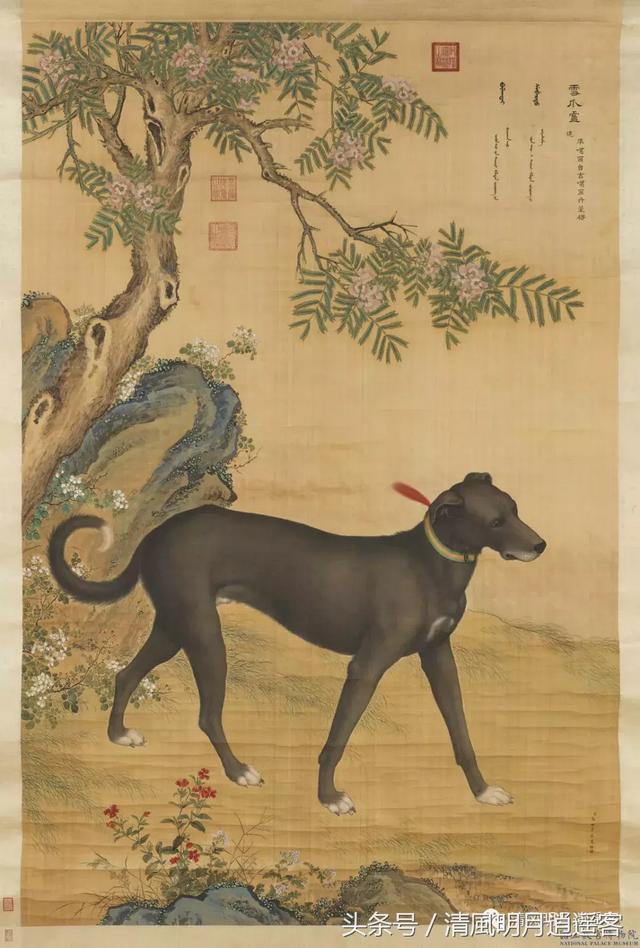 中国十大帝王犬，中国帝王犬