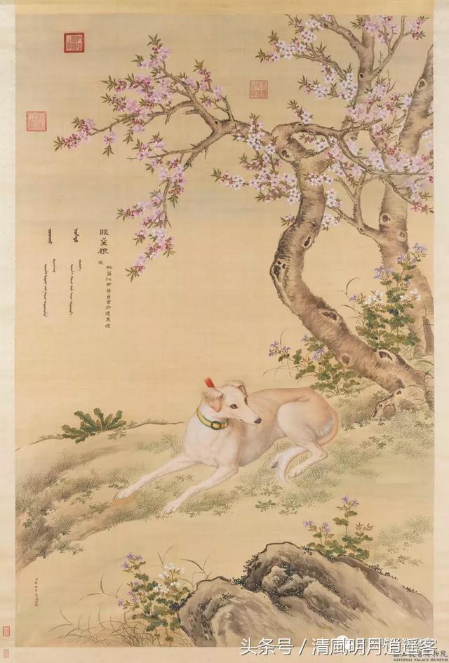 中国十大帝王犬，中国帝王犬