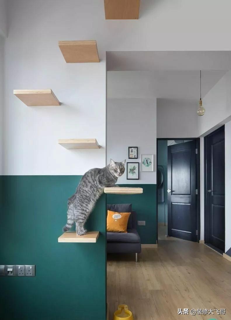 开放式阳台如何防止猫跳出去，猫咪在家里突然消失了，养猫为啥要封阳台