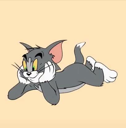 汤姆猫是一只什么品种的猫咪（了解猫咪基本信息）