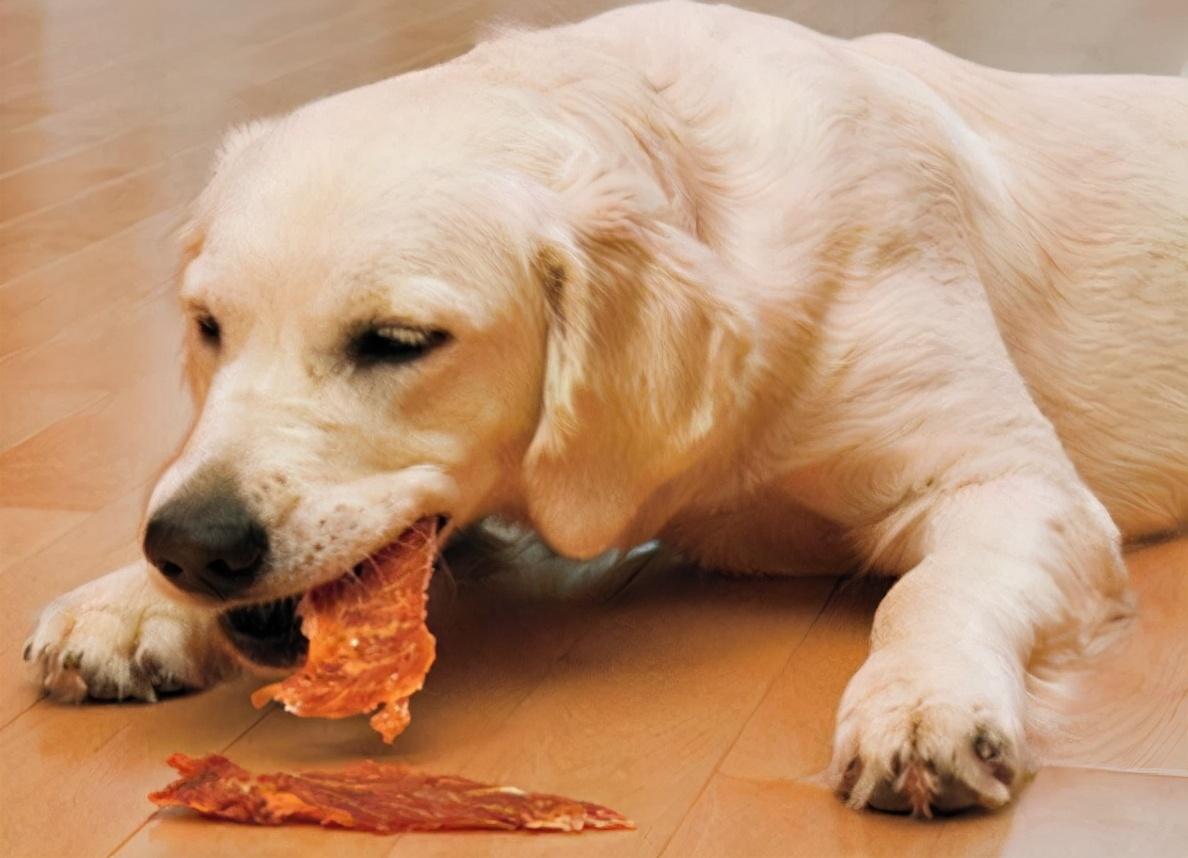 狗狗可以吃饼干吗,里面有糖成分，狗狗一般吃什么零食比较好